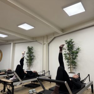 4. dnevni tečaj - pilates reformer (I. STOPNJA)