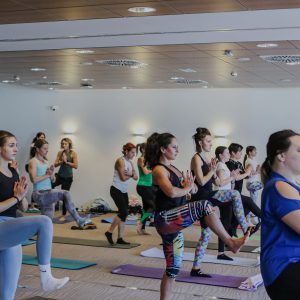 Mednarodni kongres FZS - zakup video vsebin